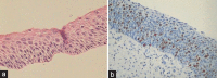Figure 36: