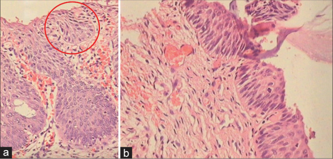 Figure 30: