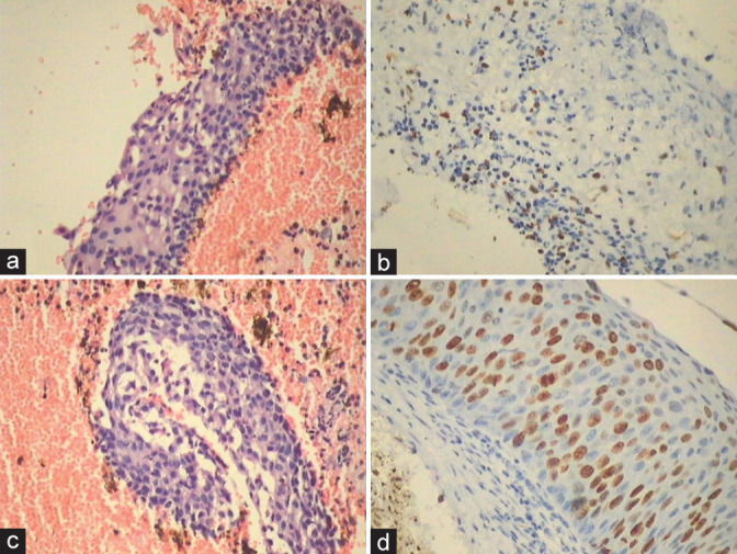 Figure 34: