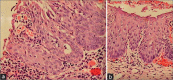 Figure 29: