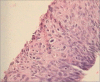Figure 14:
