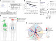 Figure 5. Validation of Hypoxia-M the TCGA-pancancer cohort. A, 521 patients with primary tumors were included in the validation of Hypoxia-M. B, Hypoxia-M tumors had significantly worsened outcomes in the TCGA-pancancer cohort (P < 0.0001). C, Hypoxia-M remained an independent prognostic factor after adjusting for age, race, tumor type, gender, stage, and treatment (HR, 1.83; P < 0.04). D, Prognostic utility of Hypoxia-M by anatomical site in TCGA-pancancer. Hypoxia-M was prognostic for squamous cell carcinomas (HNSC, lung squamous, and cervix) as well as bladder cancers. Buffa, Ragnum, and Winter GES were prognostic for glioblastoma and kidney. E, Hypoxia-M correlates with GES of hypoxia. Hypoxia-M correlates best with Lendahl, Toustrup, and Buffa signatures in the training cohort (TCGA-HNSCC). In the validation cohort (DKTK-ROG), it correlates best with Lendahl. Finally, in TCGA-pancancer, it correlates best with Winter, Ragnum, and Buffa GES.