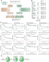 Figure 4. Validation of Hypoxia‐M in the DKTK‐ROG cohort of patients with HPV-negative HNSCC treated with primary radiochemotherapy (RCHT). A, Consort chart of patients profiled in the study. B, On multivariate analysis, Hypoxia-M remained an independent inverse prognostic factor, particularly for LR (HR, 4.31; P = 0.001). C, Patients with Hypoxia-M tumors were at significantly higher risk of death (P = 0.018), disease progression (P = 0.0024), and local recurrence (LR; P < 0.0006) but not distant metastasis. D, Integration of Hypoxia-M with immune cell infiltration. Forty-five percent of Hypoxia-M high tumors had high CD8 T-cell IHC versus 73% of Hypoxia-M–Low tumors, representing a significant association between Hypoxia-M and distribution of immune cells (P < 0.05).
