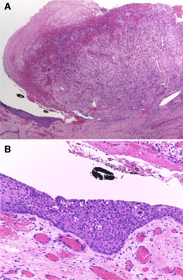 Fig. 3