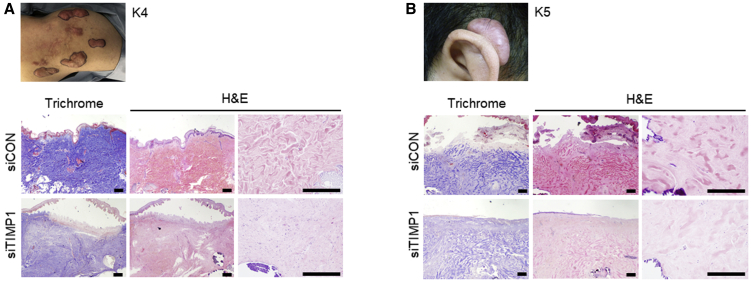 Figure 6