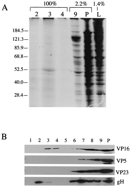 FIG. 5.