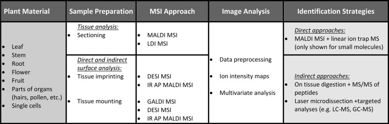 graphic file with name fpls-04-00089-i001.jpg