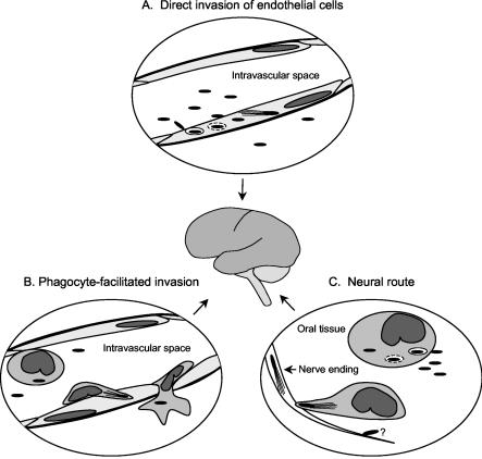 FIG. 1.