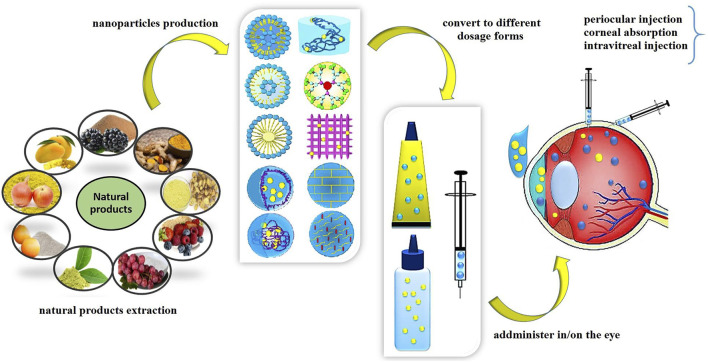 graphic file with name fchem-10-850757-fx1.jpg