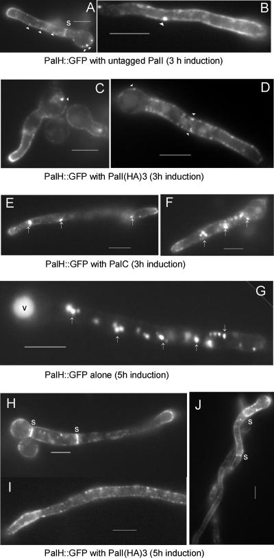 FIG. 9.