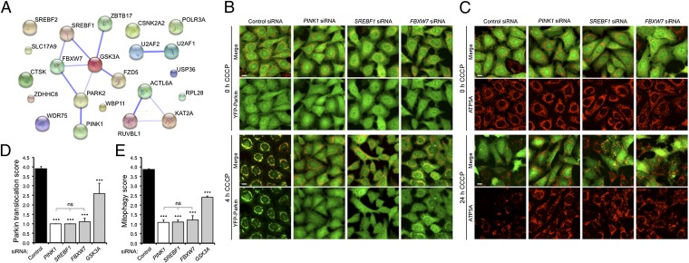 Fig. 2.