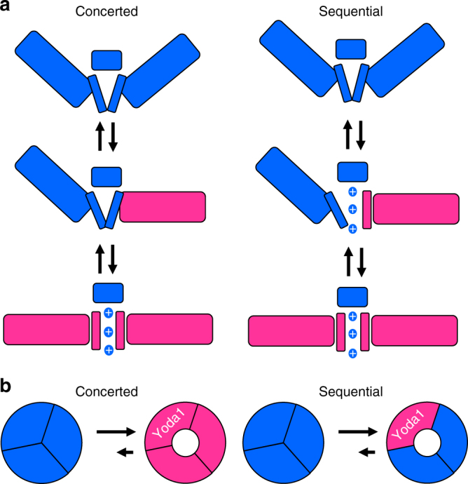 Fig. 9