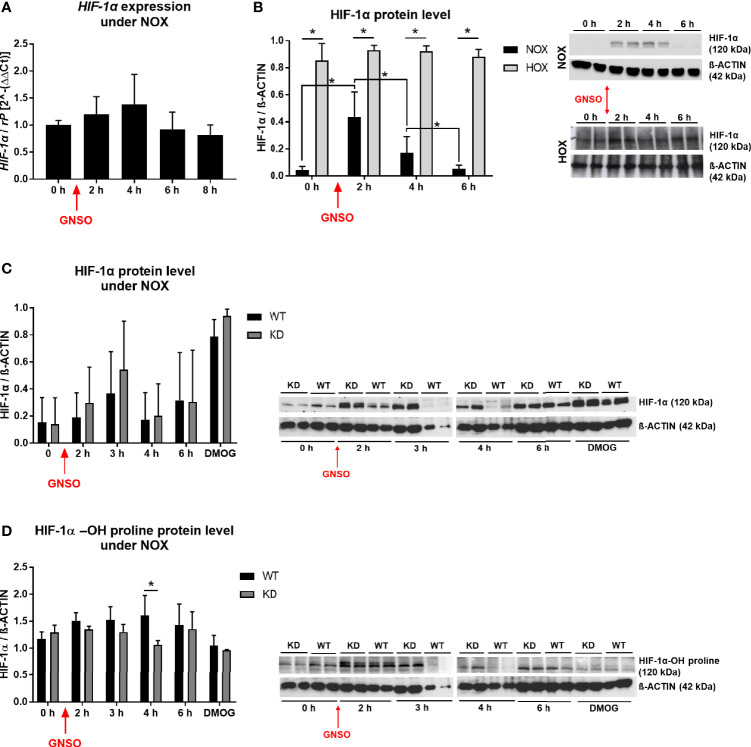 Figure 4