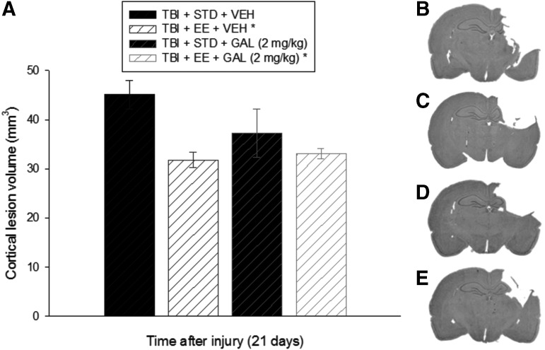 FIG. 8.