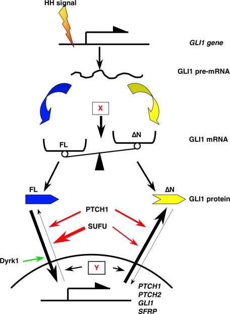 FIGURE 9.