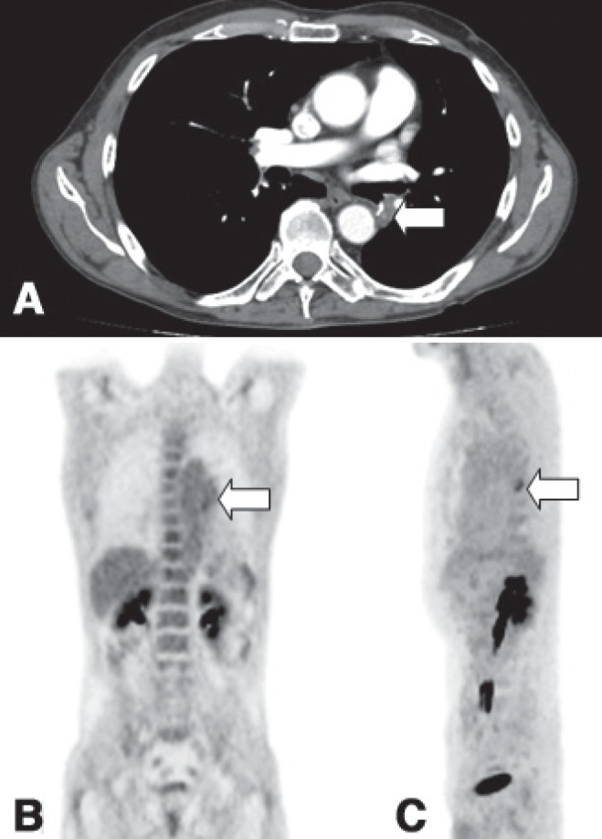 Figure 3)