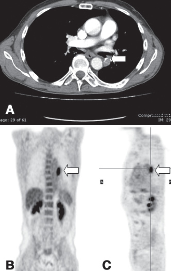 Figure 1)