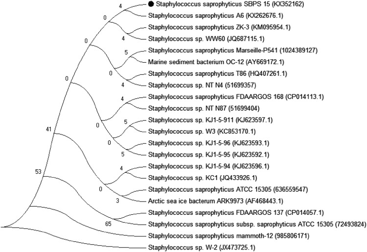 Fig. 1