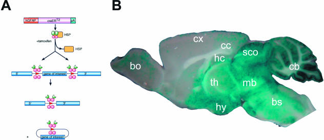 Fig. 5