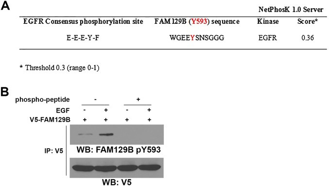 Fig. S1.