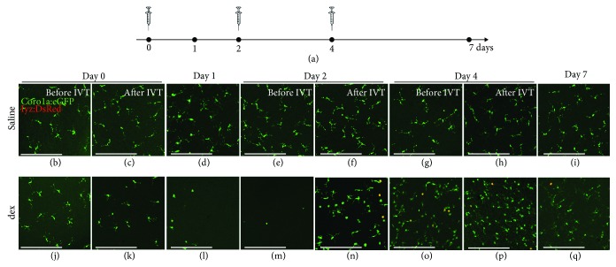 Figure 7