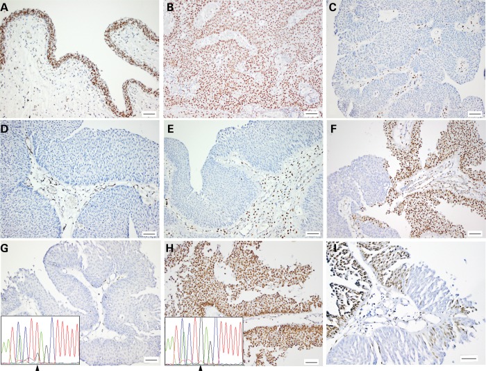 Figure 4.