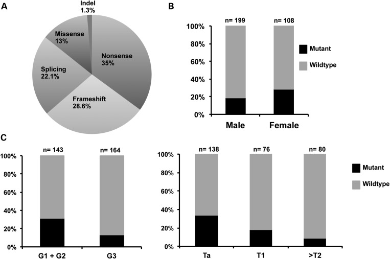 Figure 2.