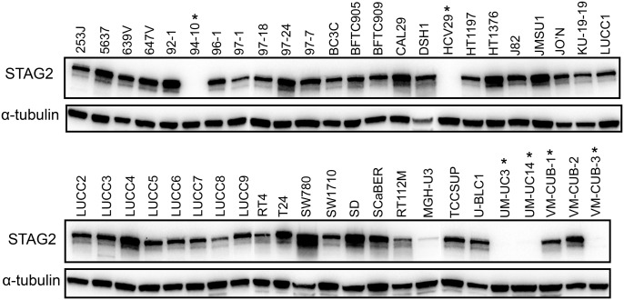 Figure 5.