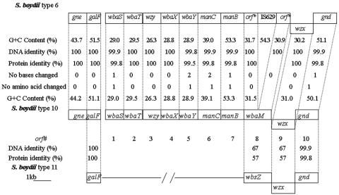 FIG. 2.