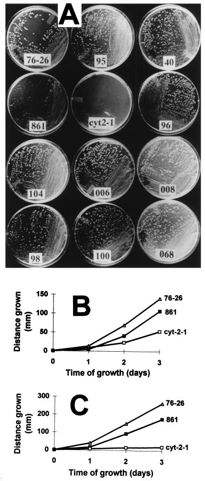 FIG. 3