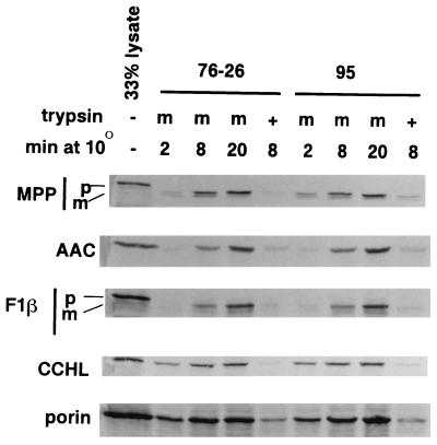 FIG. 8