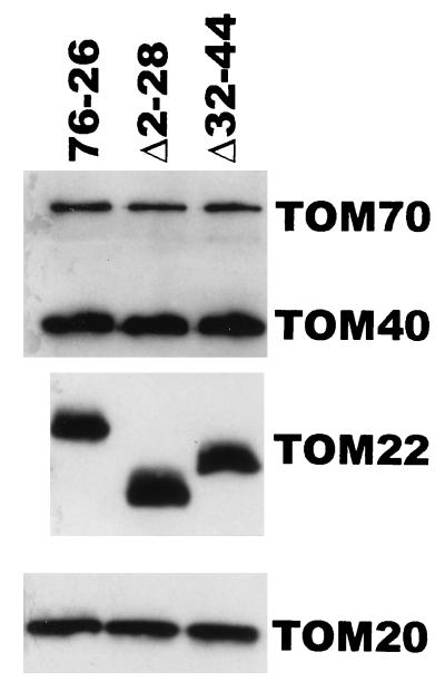 FIG. 10