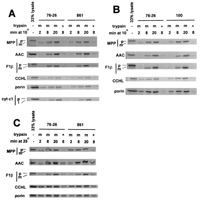 FIG. 5