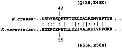 FIG. 7