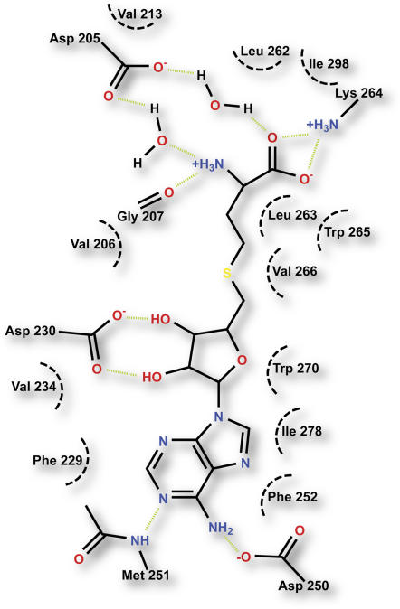 Figure 7.