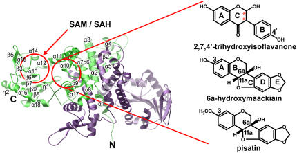 Figure 5.