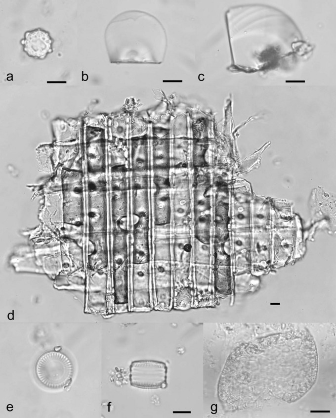 Fig. S6.