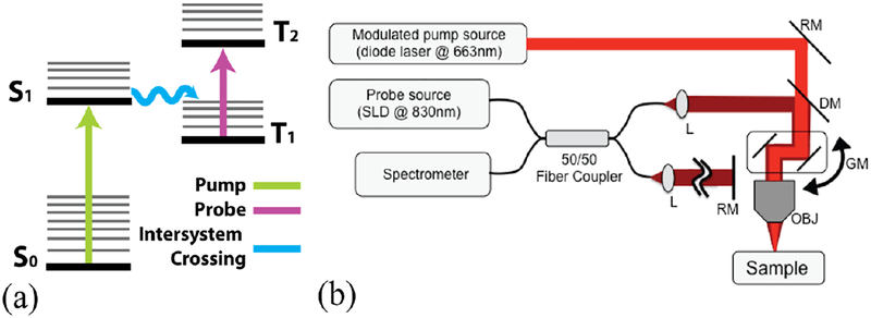 Fig. 1.