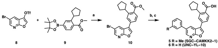 Scheme 1