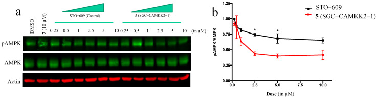 Figure 7