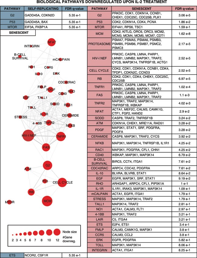 graphic file with name oncotarget-06-17938-t008.jpg