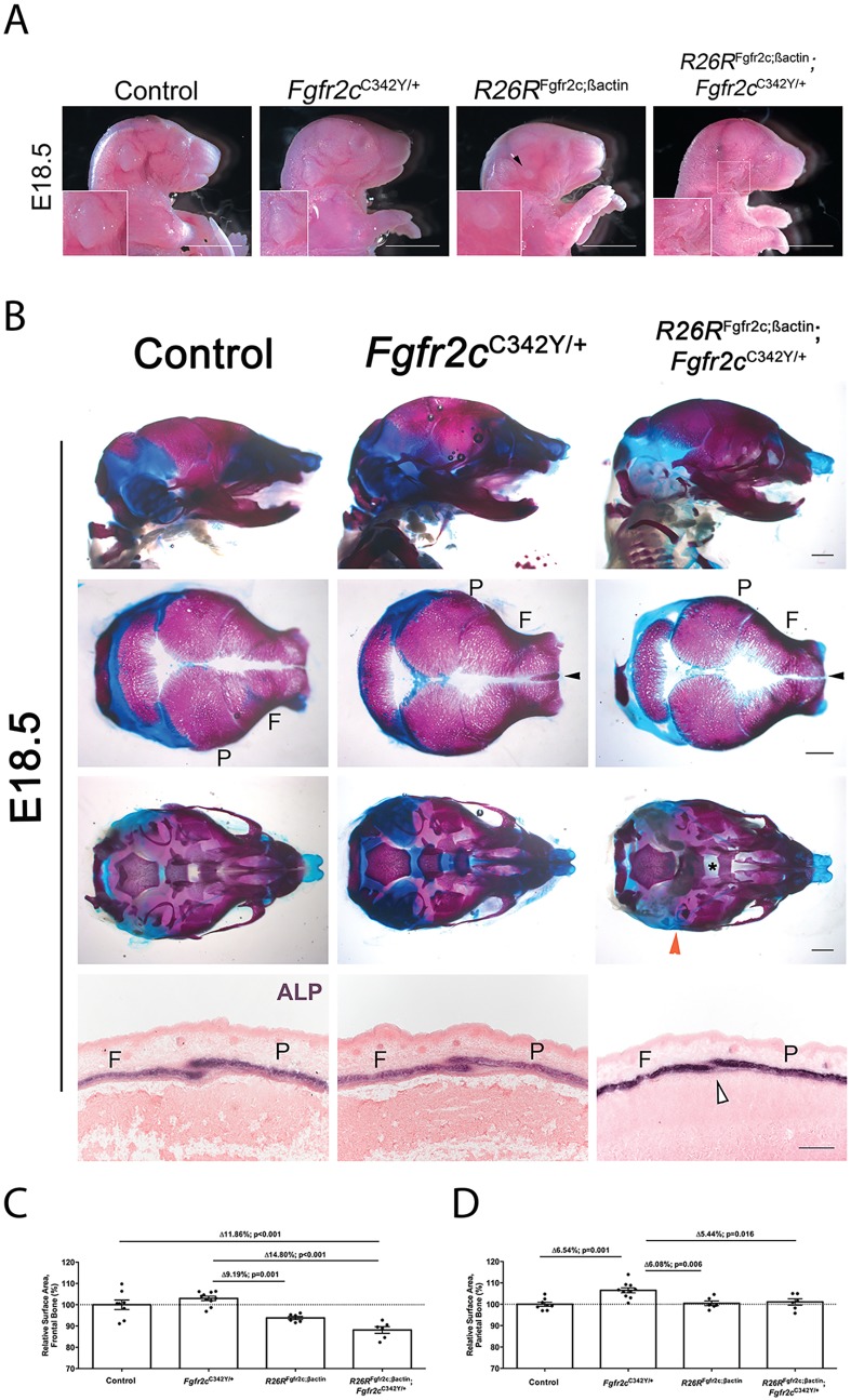 Fig. 6.