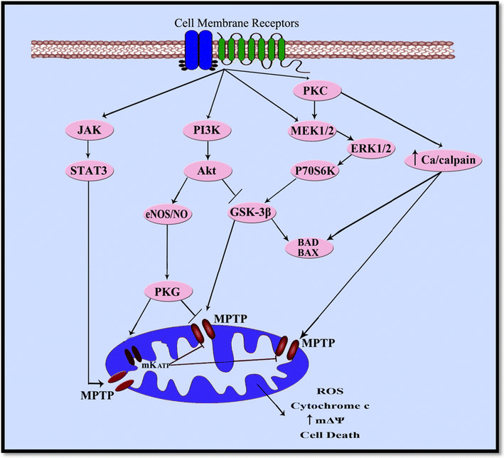 Fig. 2