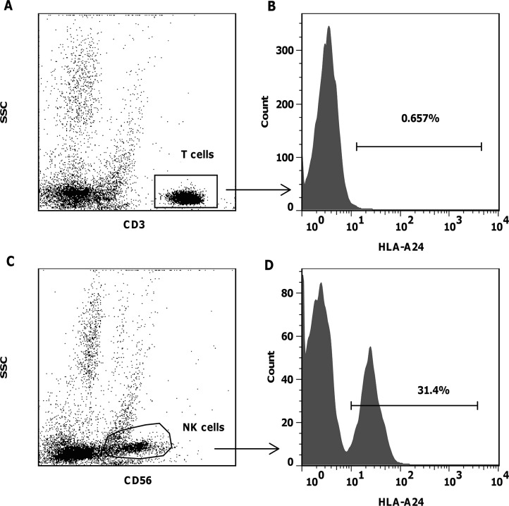 Fig 5