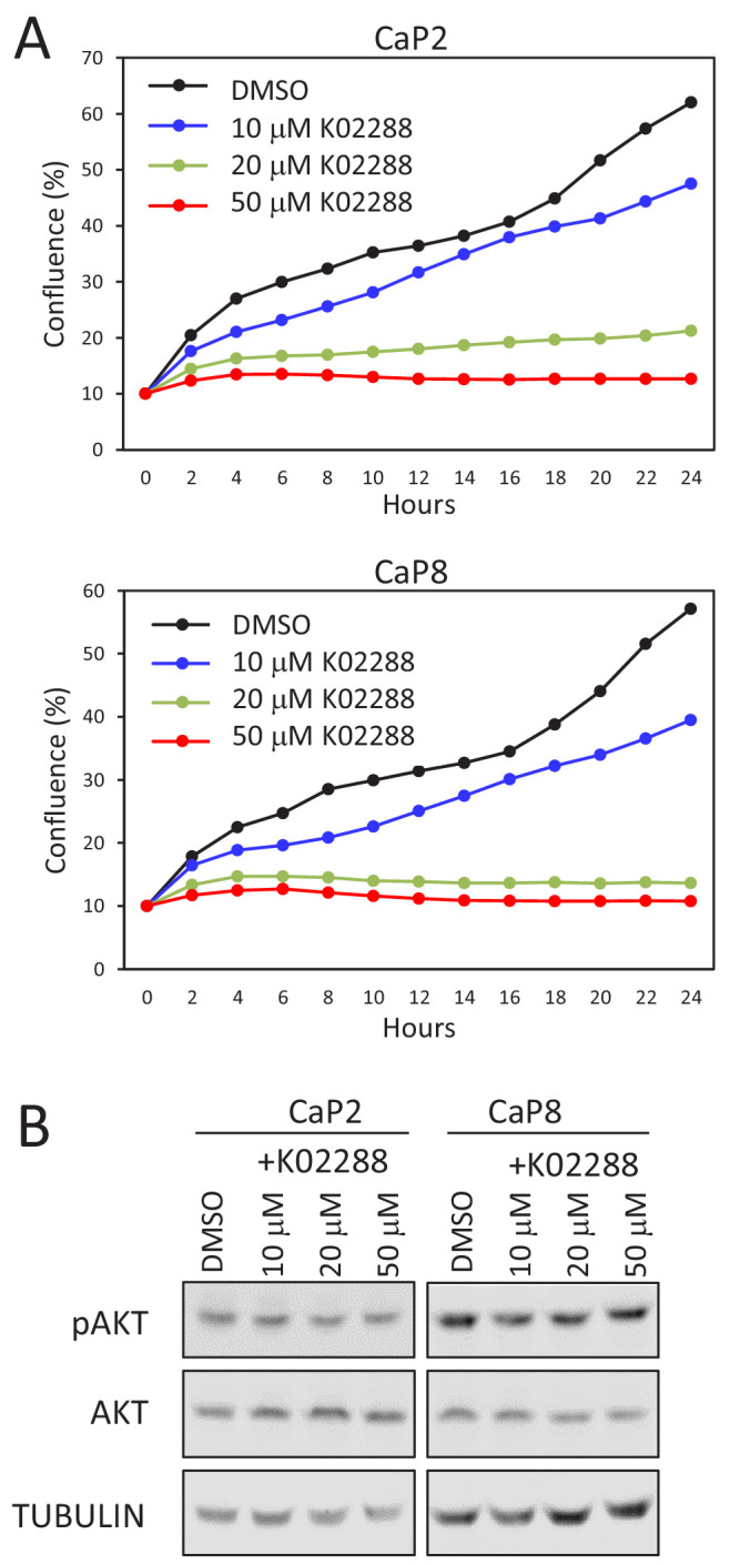 Figure 4—figure supplement 2.