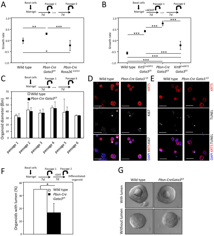 Figure 1—figure supplement 2.