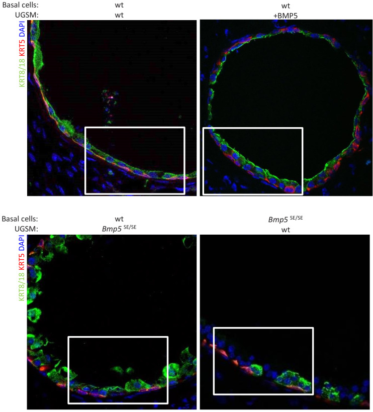 Figure 3—figure supplement 3.