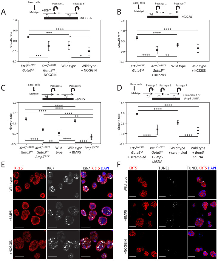 Figure 3—figure supplement 2.