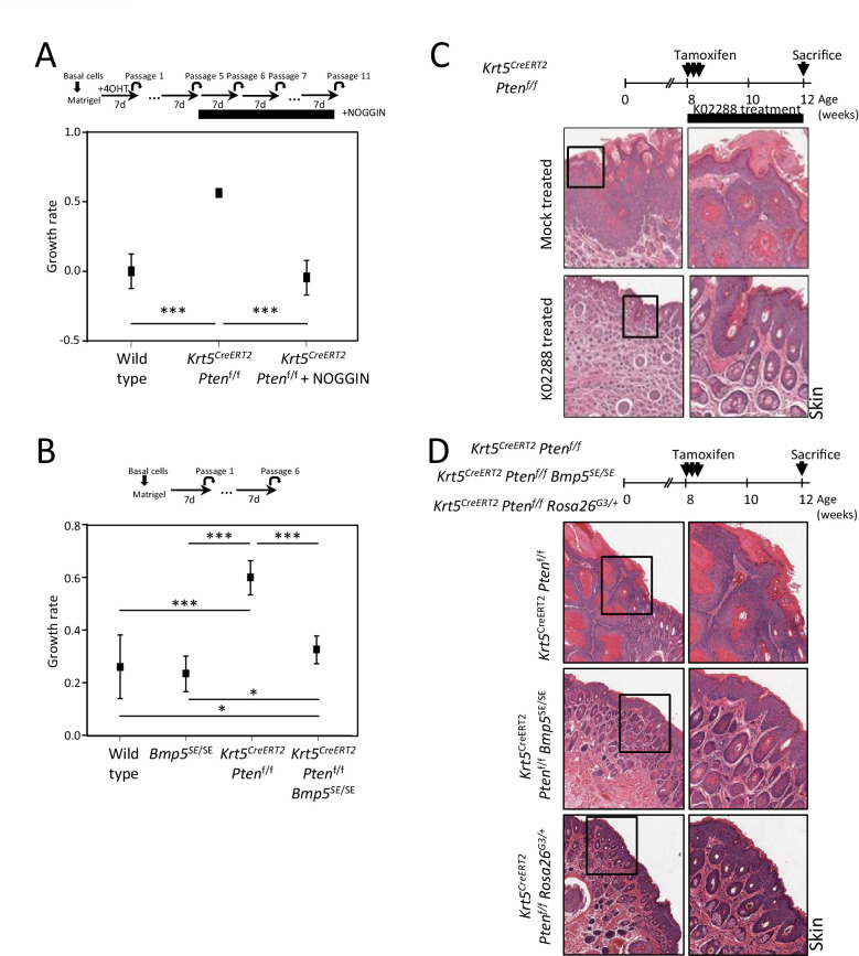 Figure 4—figure supplement 1.