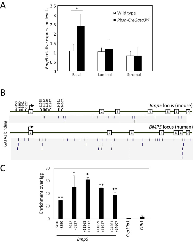 Figure 2—figure supplement 2.